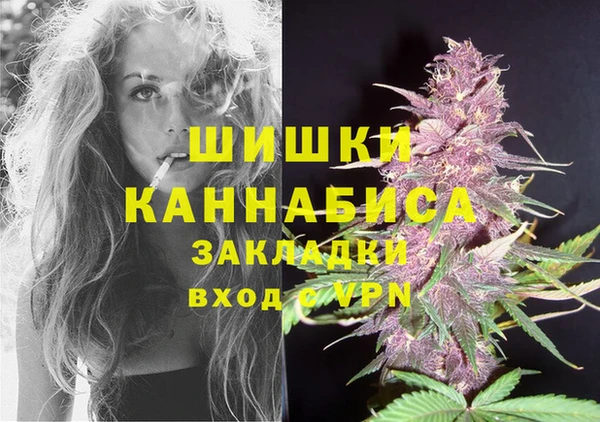 соль ск Алзамай