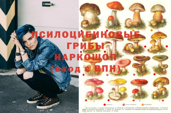 соль ск Алзамай