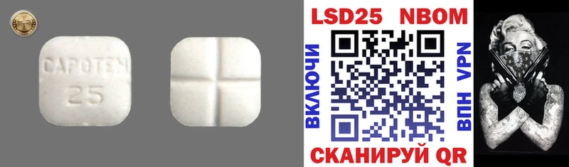 блэк спрут   Томмот  ЛСД экстази ecstasy 