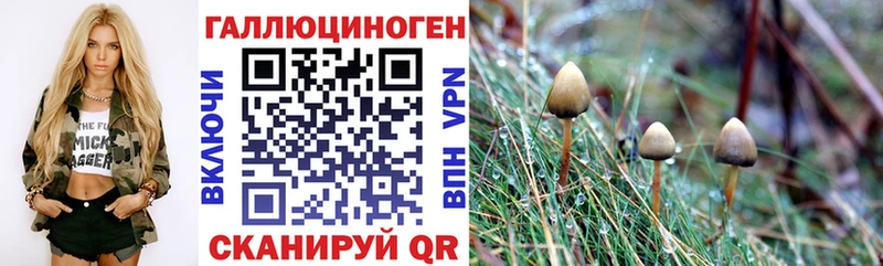 Галлюциногенные грибы MAGIC MUSHROOMS  МЕГА онион  Томмот 